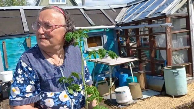 ЗАНЕСЛИ ЗАРАЗУ. 3 ГОДА НЕ МОГУ ПОБОРОТЬ. ПОСАДИЛА КАБАЧКИ. У НАС НЕДОБОР. +28* В ТЕНИ.(Архангельск) смотреть онлайн