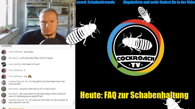 FAQ zur Schabenhaltung смотреть онлайн
