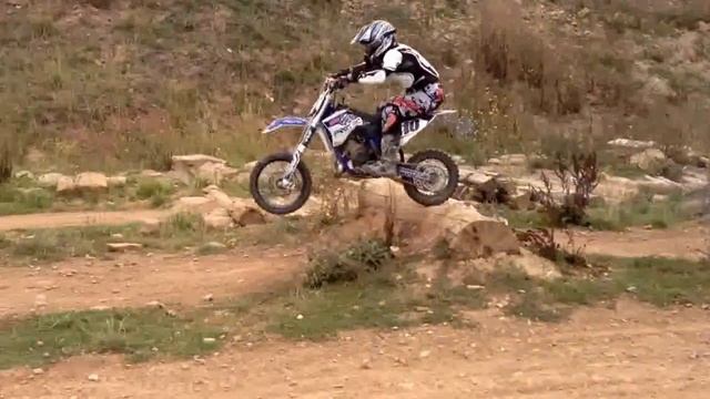 Scheffler Training Baumstämme