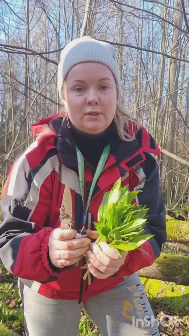 ГРИБНИКИ в лесу, отмечают 8 марта!!! Весна в лесу!!! смотреть онлайн