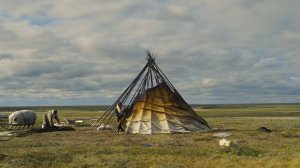 У ветра нет хвоста. Режиссеры  Иван Власов и Никита Сташкевич