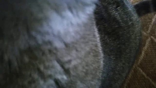 Every time I sit down with the camera.... Mya does it смотреть онлайн