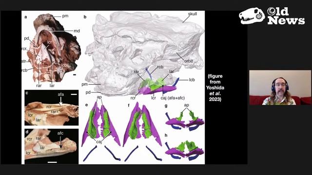 Old News Ep. 35: The Ankylosaur's Song смотреть онлайн