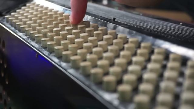 Accordion is *Nearly* the Easiest Instrument in the World смотреть онлайн