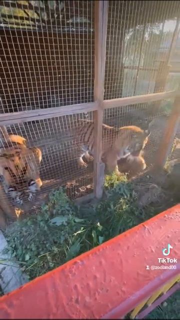 5 февраля 2023 г. смотреть онлайн