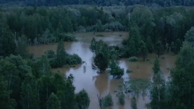 Паводок на реке Копь.