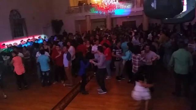 Lolita Echeveria en newark NJ смотреть онлайн