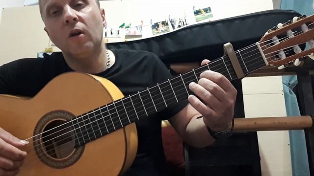 СЕМЕЧКИ.Аркадий Укупник.Разбор.Вступление.1 часть #урокигитары #разборпесен #гитара смотреть онлайн