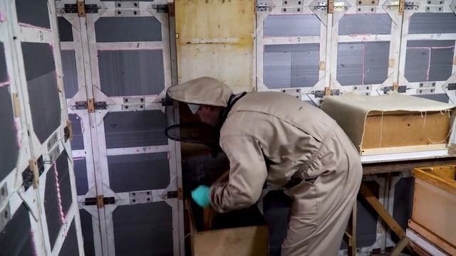 Качаем Мёд в кассетном павильоне 2019 смотреть онлайн