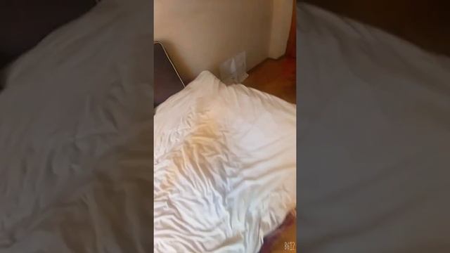 Влог як проходить мий ранок1