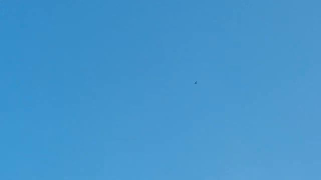 Вечер 16 июля, бакинцы молодежь смотреть онлайн