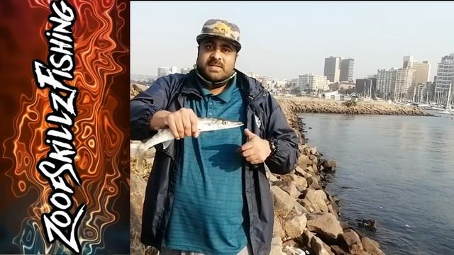 Pickhandle Barracuda AKA Sea Pike Caught on Lure!!! смотреть онлайн