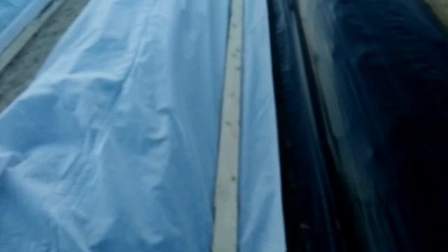 Укрытие гряд клубники в зиму. смотреть онлайн