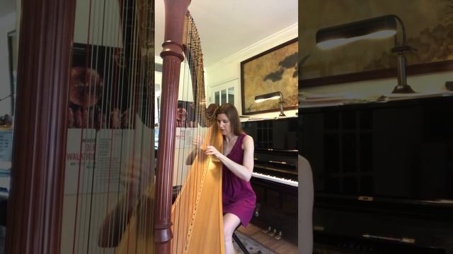 Carlos Salzedo: Rumba, from Eight Dances (Harpist Laurie Meister)