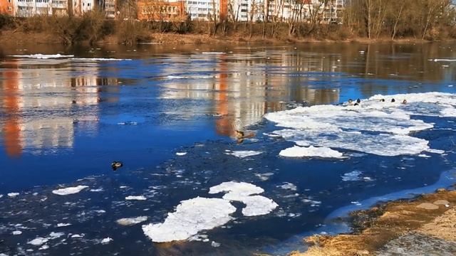 скульптура Золотой рыбки смотреть онлайн