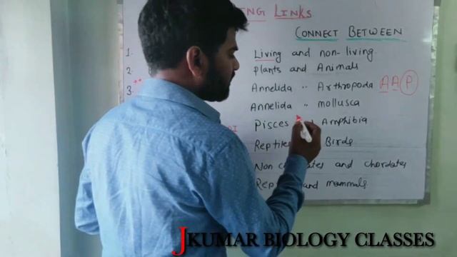 CONNECTING LINKS | EVOLUTION | PERIPATUS | BALLANOGLOSUS смотреть онлайн