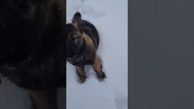 Всем привет из татАрово! смотреть онлайн