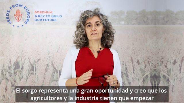 3ER CONGRESO EUROPEO DEL SORGO, EL SORGO - UN INGREDIENTE SANO Y NUTRITIVO смотреть онлайн