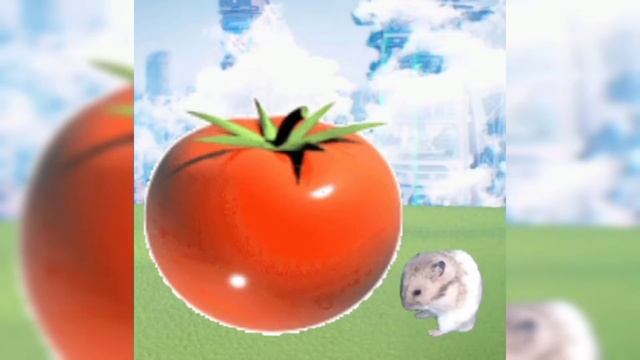 Хомяк и коробка времени 🐹 часть 2