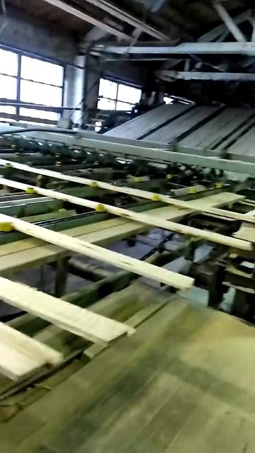 Распиловка ОСИНЫ № 2 смотреть онлайн