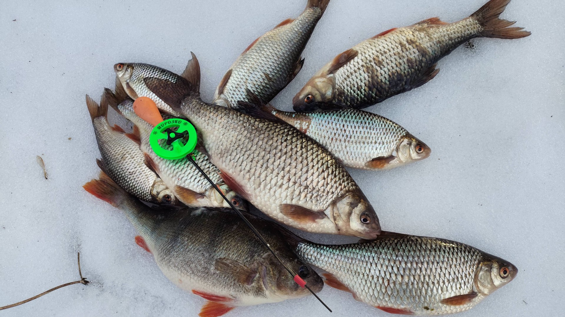 Горе-море, ловля морской плотвы. смотреть онлайн