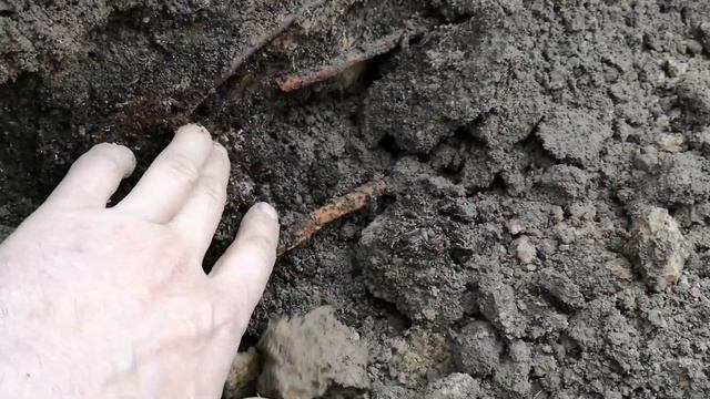 Органическая грядка 1. смотреть онлайн
