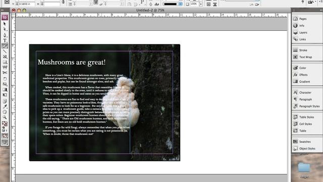 Wrapping text around a Portion of a background image in InDesign смотреть онлайн