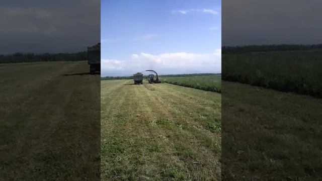 23 июня 2017 г. смотреть онлайн