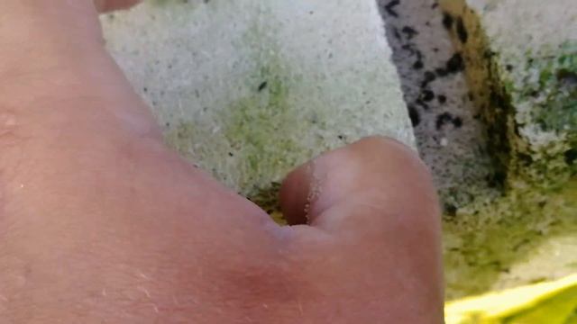 Блок смотреть онлайн