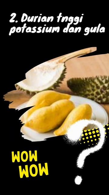 part 2, fakta menarik tentang durian #faktamenarik #durian #funfacts смотреть онлайн