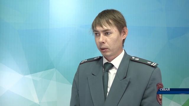 Наступила пора оплатить имущественные налоги за 2019 год смотреть онлайн