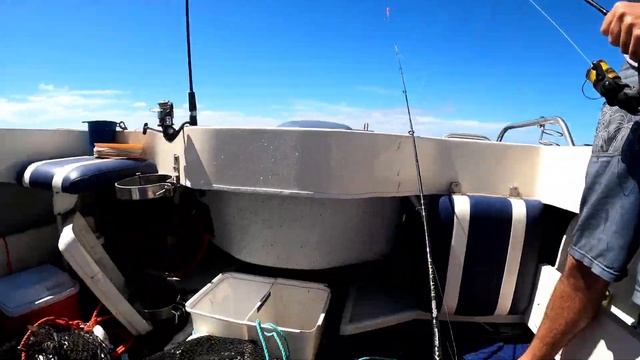 WHITING FISHING (SOUTH AUSTRALIA) смотреть онлайн