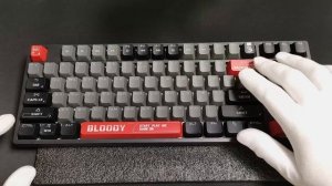 Звуковой тест/Sound test Тайпинг/Typing A4Tech Bloody S87 #asmr