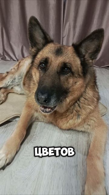 С 8 марта смотреть онлайн