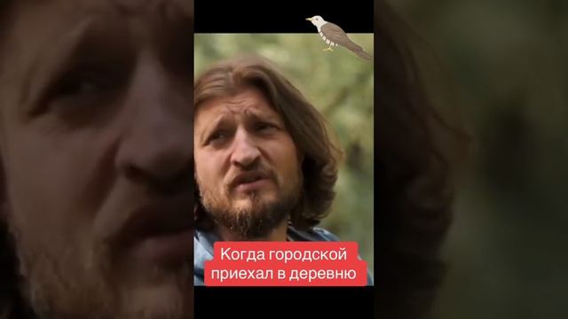 #деревня #лес #кукушка #смерть #испуг смотреть онлайн