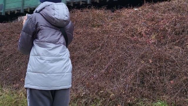 Вл80 смотреть онлайн