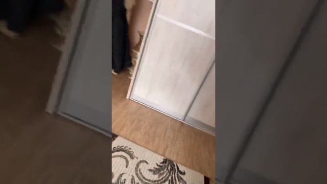 ЛОСЬ-КАБАН ФАЙТНАЙТС 😂