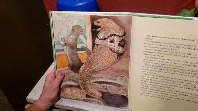 Rikki Tikki Tavi (part Two) - Story Time With Mrs.Truelove
