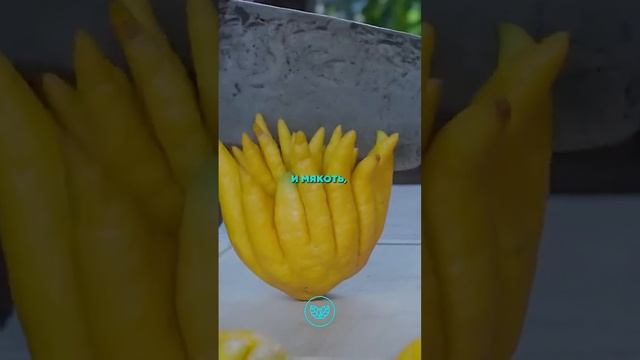 👍 Необычные фрукты_ о которых вы_ нечего не знаете смотреть онлайн