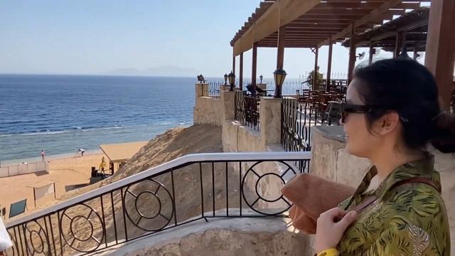 28 ноября 2023 г.