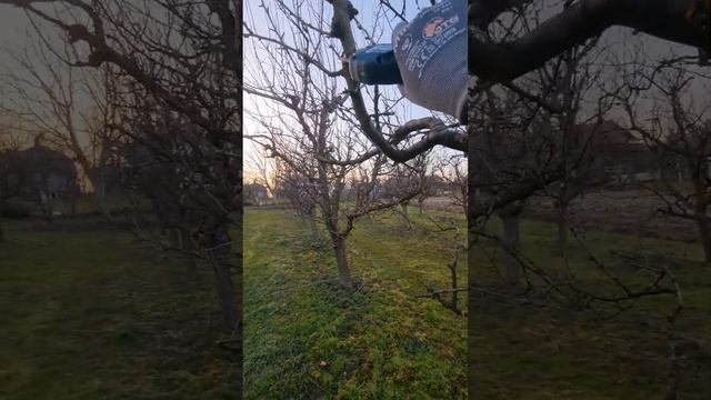 Bosch Pro Pruner baterijske škare смотреть онлайн