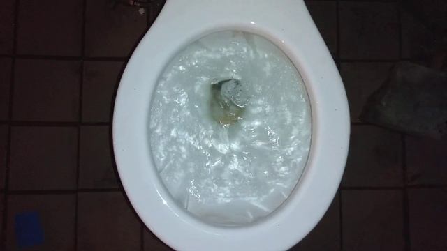 1975 VHP Toilet Flushes! смотреть онлайн