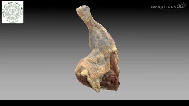 SMARTTECH3D - chicken leg digitalization