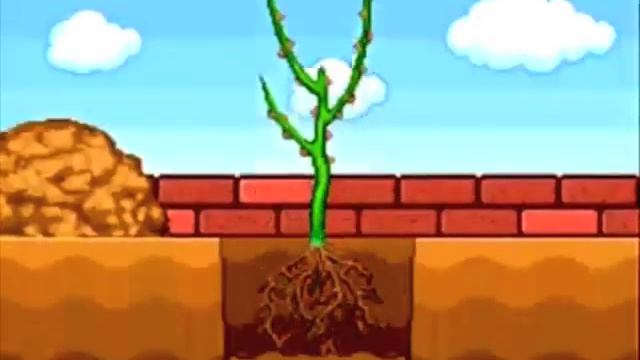 Youtube Poop: Gardening Mama on Crack смотреть онлайн