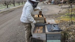 1000256671.mp4 как мы делаем отводки