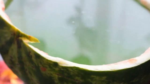 30 НЕРЕАЛЬНЫХ ПРАНКОВ НАД ДРУЗЬЯМИ смотреть онлайн