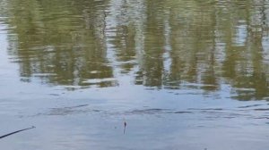 рыбалка в Астрахани,апрель 2024