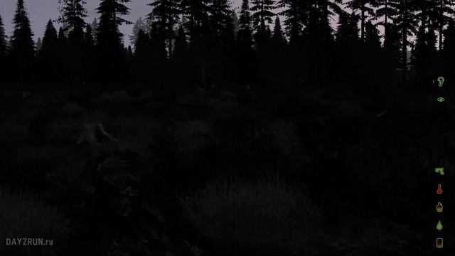 НОЧНОЕ ВЫЖИВАНИЕ! - DayZ Namalsk 0.75 смотреть онлайн