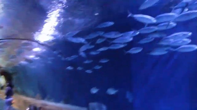 Валенсия смотреть онлайн