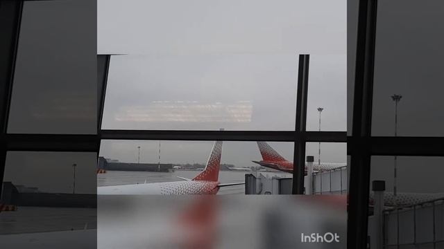 Ура, я- в Сочи! смотреть онлайн